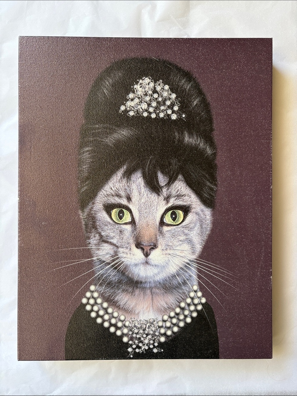 Regal Pearl-Trim Cat Portrait Canvas